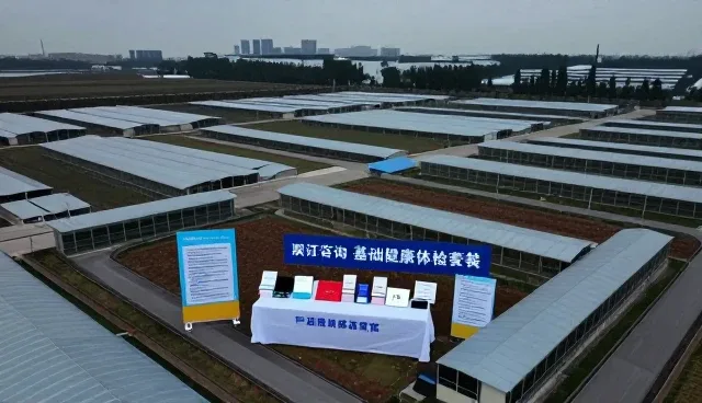 健康管理服务的性能表现与适用场景分析